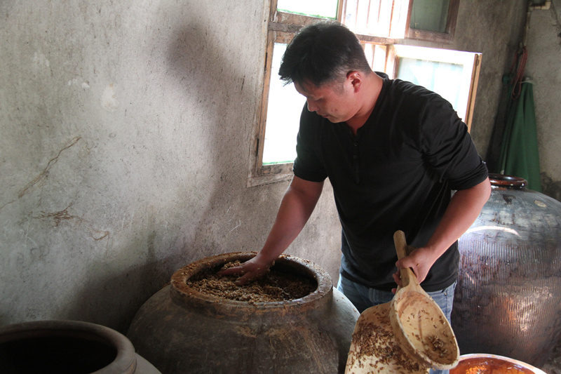 4—4培 菌（醅料入缸）_副本.jpg