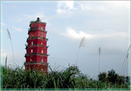 20110919040205391.jpg